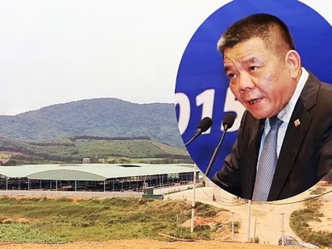 Khi dự án chăn nuôi bò của Công ty Bình Hà đổ bể, ông Trần Bắc Hà hứa sẽ lấy tiền đâu để trả nợ?